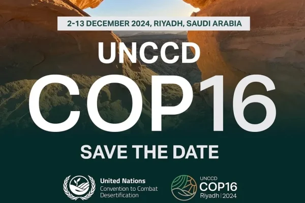 Dünya e-Basın Konseyi (DEBK), COP16 Zirvesinde Yer Alacak